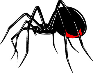 Black widow spider decal